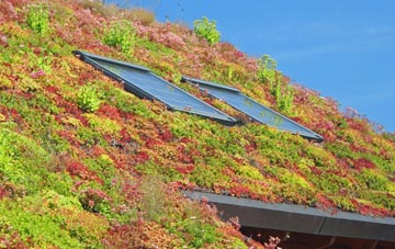 Scamblesby living roof systems